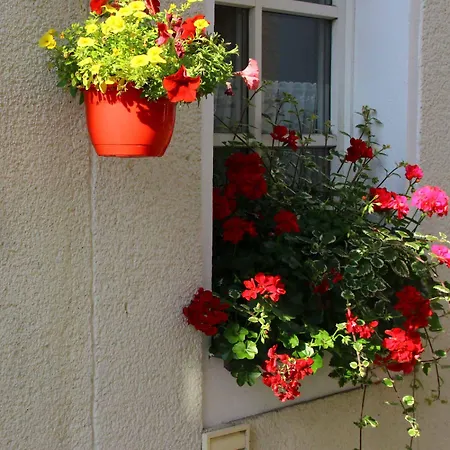 Hotel Zum Weissen Lamm *