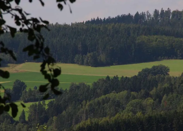 Zum Weissen Lamm Hotel