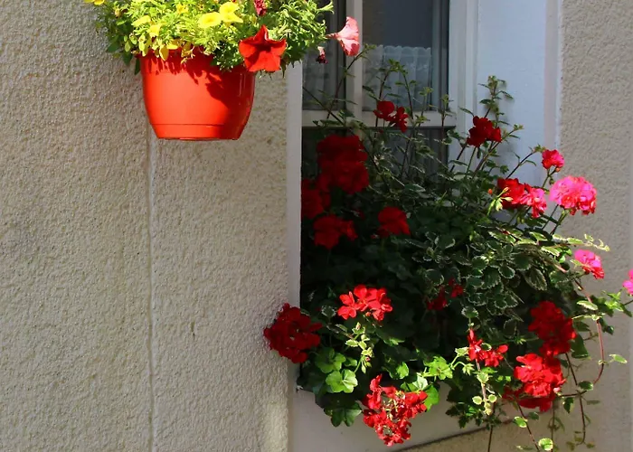 Hotel Zum Weissen Lamm *