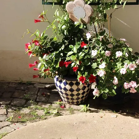 Zum Weissen Lamm Otel Hohenberg an der Eger